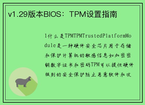v1.29版本BIOS：TPM设置指南