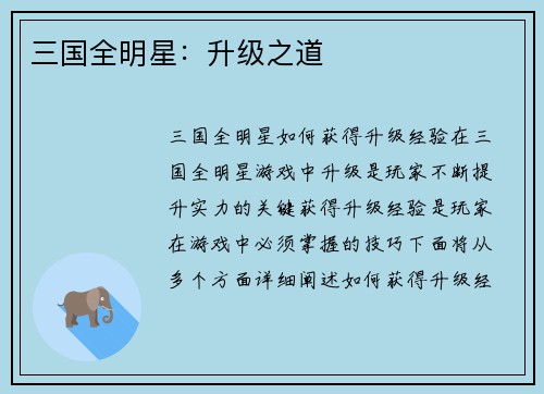 三国全明星：升级之道