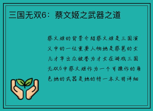 三国无双6：蔡文姬之武器之道